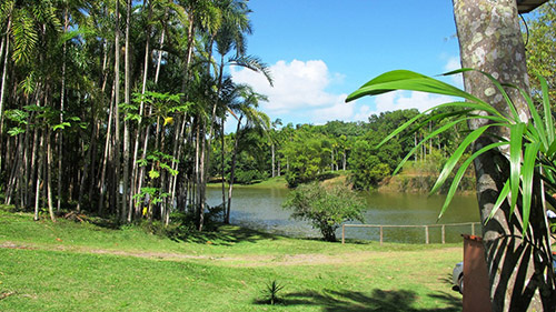 Eco Parque Sauipe - Foto: Ulisses Dumas l Ag. BAPress- IMG_3704