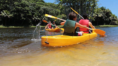 Verão Eco Parque Sauípe - Foto: Divulgação
