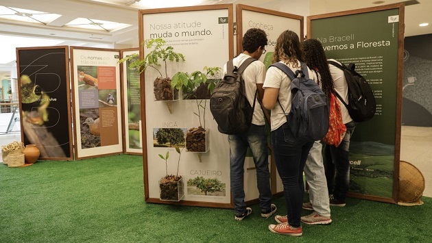 Exposição "Floresta Sempre Viva" convida o público a um passeio sensorial em Salvador